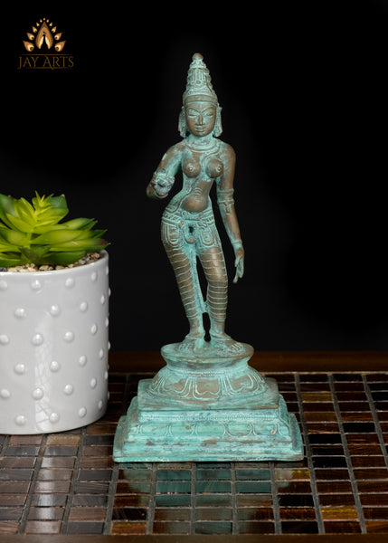 9" Goddess Sivagami (Parvati) Standing in a Graceful Pose South Indian Bronze Statue