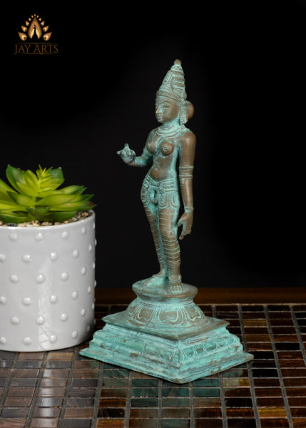 9" Goddess Sivagami (Parvati) Standing in a Graceful Pose South Indian Bronze Statue