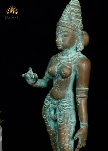 9" Goddess Sivagami (Parvati) Standing in a Graceful Pose South Indian Bronze Statue